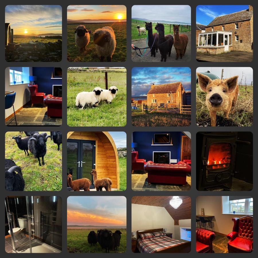 Orkney Farm Bothy Villa Stromness Exterior foto